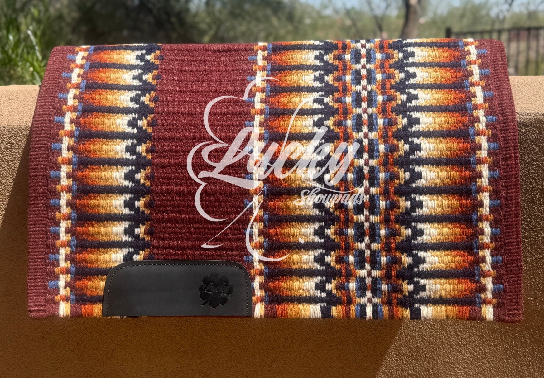 Arizona Sun